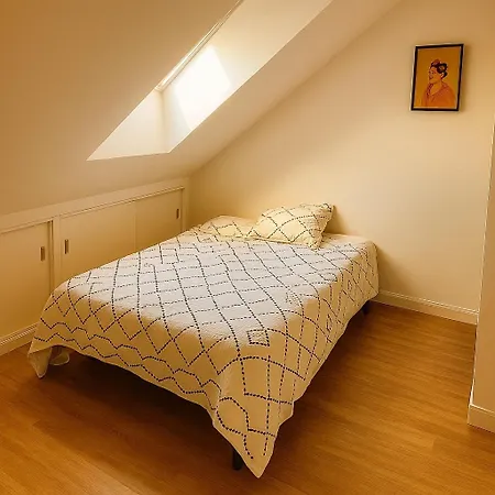 Duplex Lumineux Proche Gare Et Centre-ville Angers