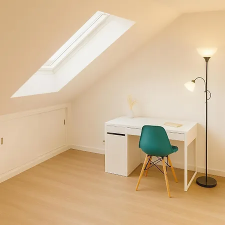 Duplex Lumineux 4 Et 2 Sdb Proche Gare Apartman Angers